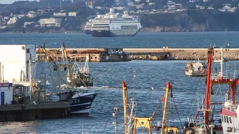 Brixham, Devon: Trawler trailed by seagulls (SPEEDED UP x4, MUTE). Stock Footage 142000098