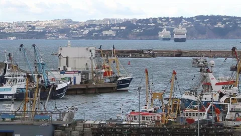 Brixham, Devon: Trawlers and trawler arriving, liners in background Stock Footage 141224244