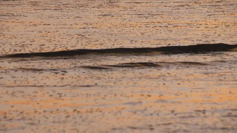 Broad Beach Waves Malibu Medium (2) Stock Footage 101000062
