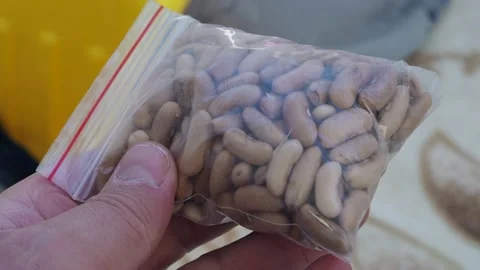 Broad bean and bean seeds, packaged ready-to-sow seeds, 스톡 동영상 153361771