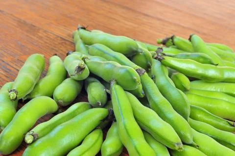 Broad bean Stock Photos
