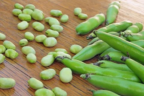 Broad bean Stock Photos