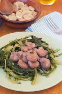 Broad beans and chicory Stock Photos