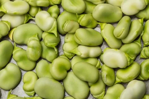 Broad beans in a close up view Stock Photos