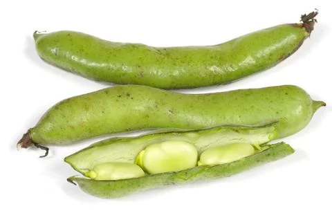 Broad beans isolated Stock Photos