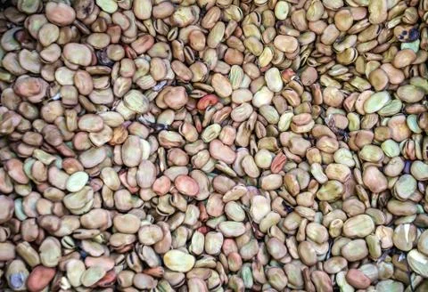 Broad beans. Stock Photos