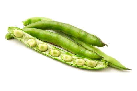 Broad beans Stock Photos