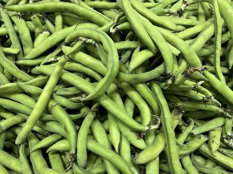 Broad beans Stock Photos