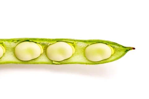 Broad Beans in pod Stock Photos