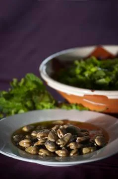 Broad beans soup Stock Photos