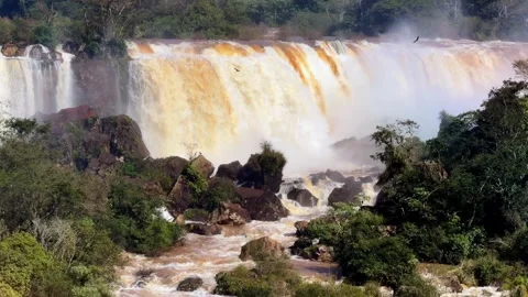 Broad Cascades and Mist Framed by Forest at Iguazu Falls Stock Footage 342275080