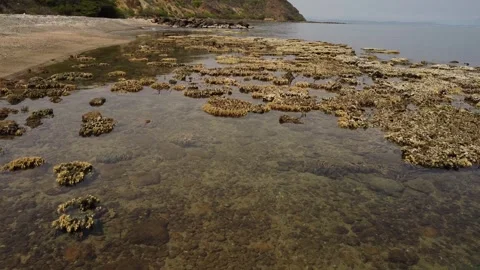 Broad day beach shots Stock Footage 310475993