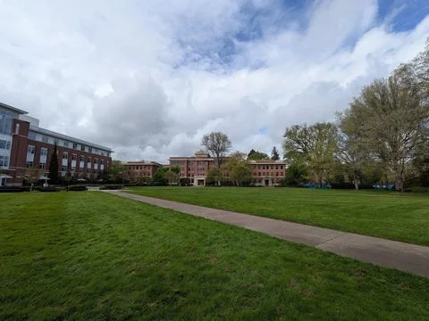 Broad green field with walking paths leads toward a modern building Stock Photos