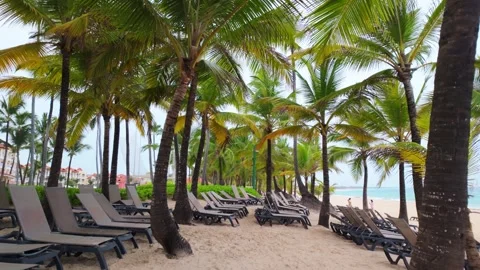 Broad perspective of a tropical beach resort line with dark palm trunks framing Stock Footage 346124641