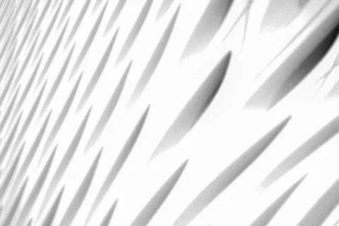 The broad Foto stock