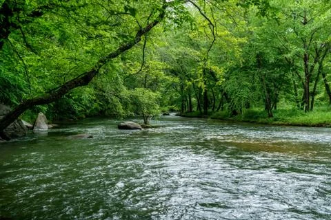 The Broad River Foto stock