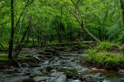 The Broad River Foto stock