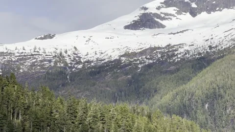 Broad snow-laden ridge and a dark rocky pyramid crown the quiet spruce forest Stock Footage 336221667