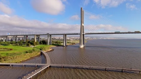 Broad waterway split by grand cable-stayed bridge with tall white towers Video stock 346056553