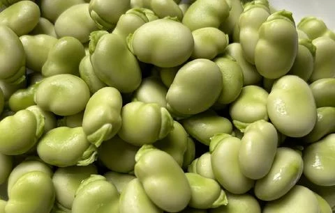 Broadbeans Stock Photos