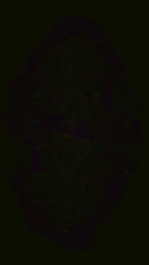 Broadcast Distortion Loop Portrait Stock Footage 331084771