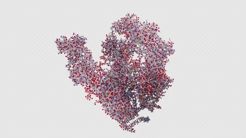 Broadly Neutralizing Antibodies Stock Footage 145986320