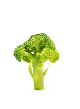Broccoli #1 Stock Photos