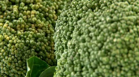 Broccoli, 2 clips Video stock 10718157