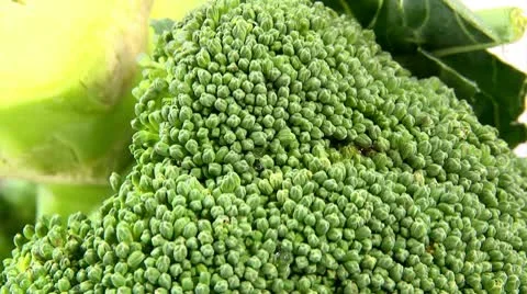 Broccoli, 2 clips Stock Footage 10718204