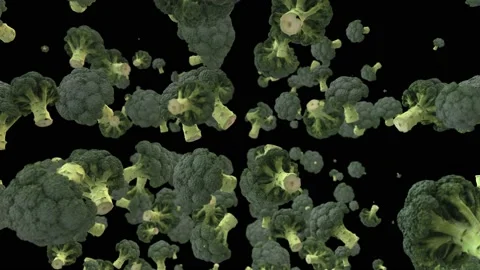 Broccoli 2 Video stock 146730965