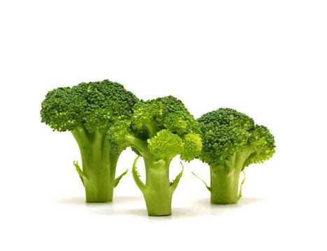 Broccoli #2 Stock Photos