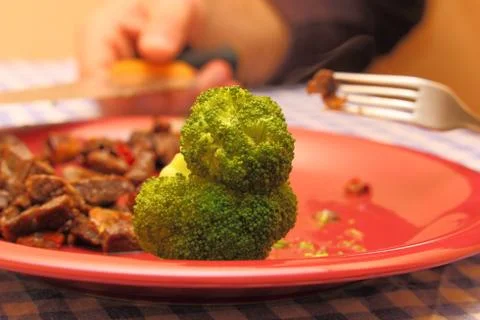 Broccoli and beef 库存照片