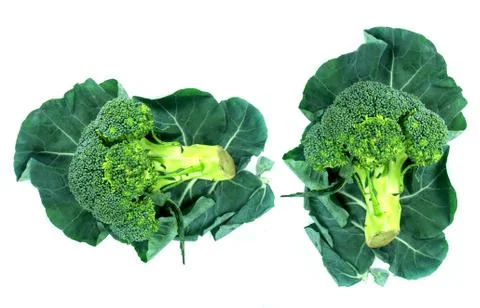 Broccoli and Leaf Stock Photos