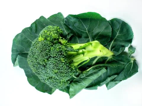 Broccoli and Leaf Stock Photos