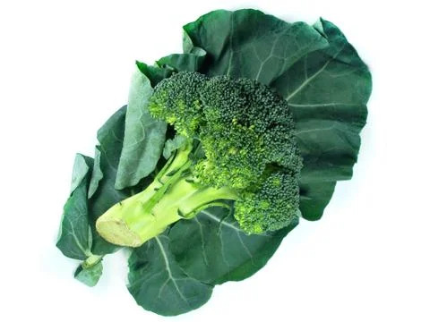Broccoli and Leaf Foto stock