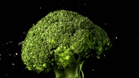 Broccoli and water drops Stock Footage 229314898