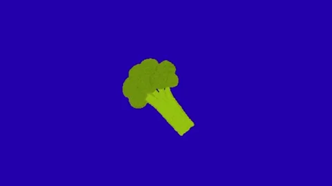 Broccoli animation on blue background 库存影片 333560806