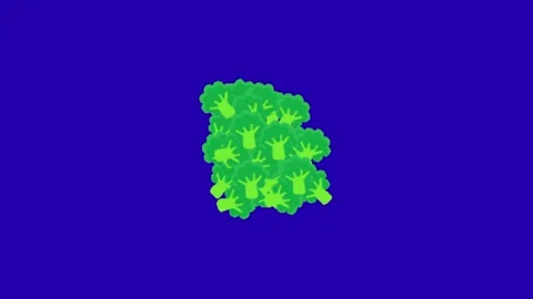 Broccoli animation on blue background Stock-Footage 333560811