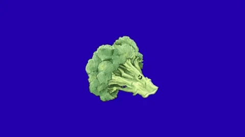 Broccoli animation on blue background Stock-Footage 333560813