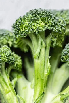 Broccoli are on the table. Stock Photos