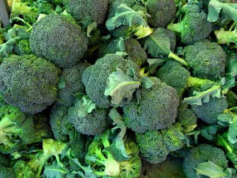 Broccoli background Stock Photos