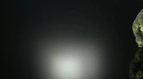  BROCCOLI  BEING PREPARED  ON A KITCHEN WORKTOP Vidéo 59005827