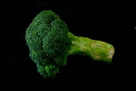 Broccoli on a black background isolated Stockfoto's