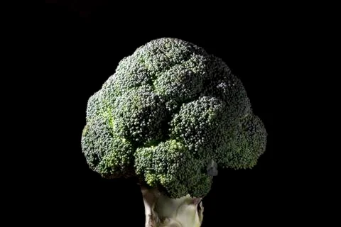 Broccoli on a black background Stock Photos