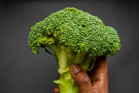 Broccoli on a black background Stock Photos
