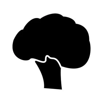 Broccoli black color icon . Stock Illustration