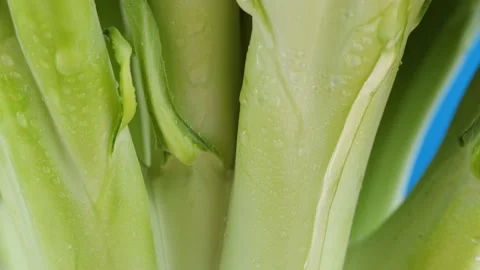 Broccoli on blue background, fresh green broccoli and water drops close-up Stock Footage 170586188