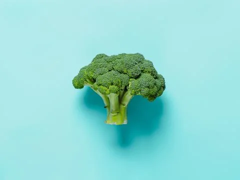 Broccoli on blue background, top view, copy space Stock Photos