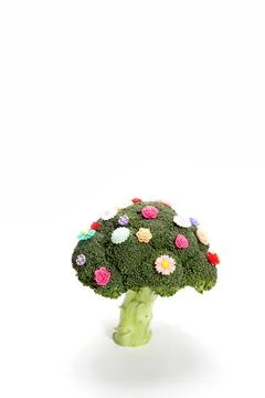Broccoli like a bouquet of flowers Stock Photos