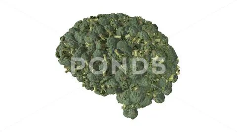 Broccoli brain - human mind shape formed from florets of broccoli Stock Illustration